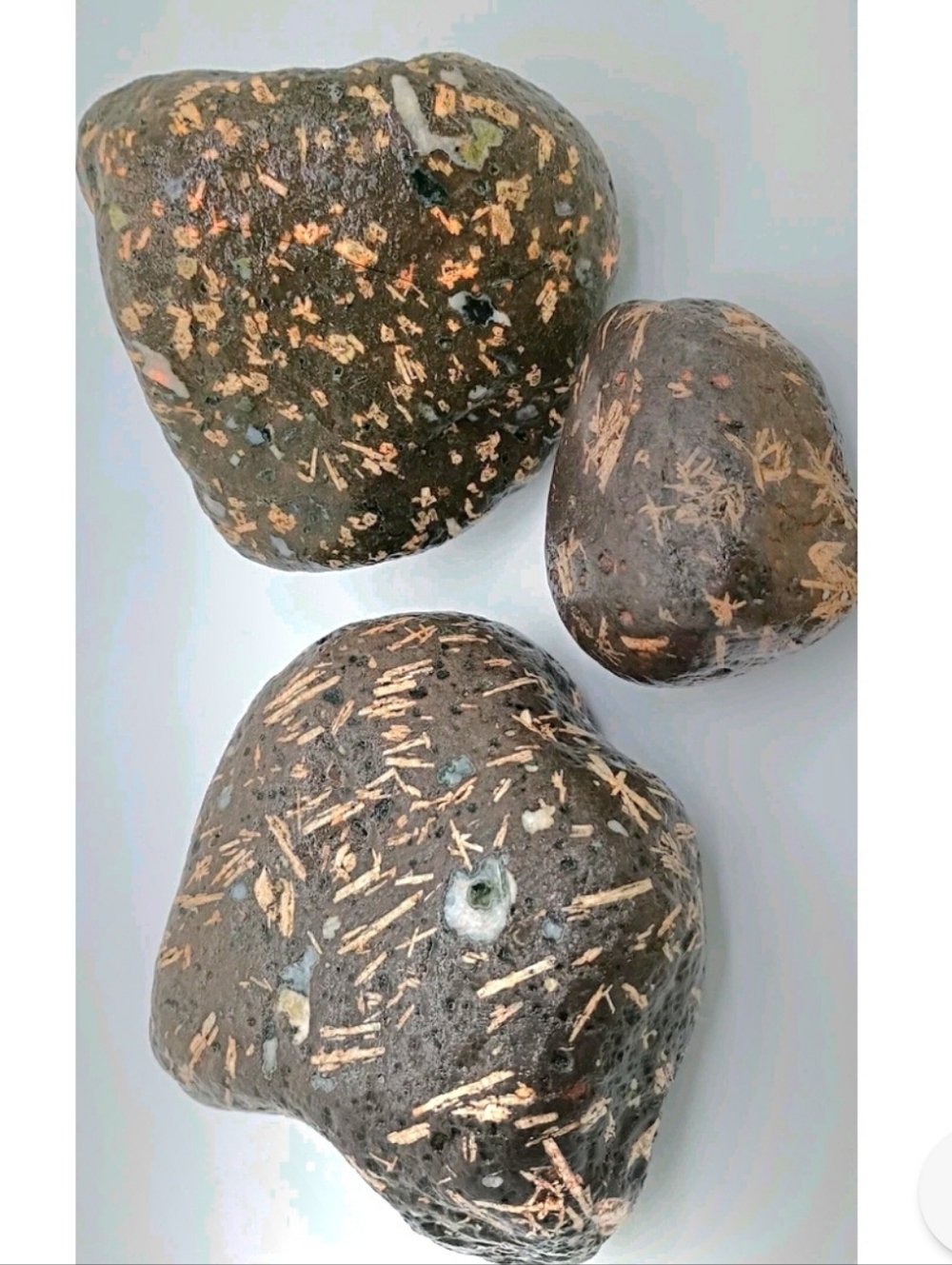 3 PCS Porphyritic Amygdaloidal Basalt, Keweenaw Peninsula, Portage Lake Volcanic